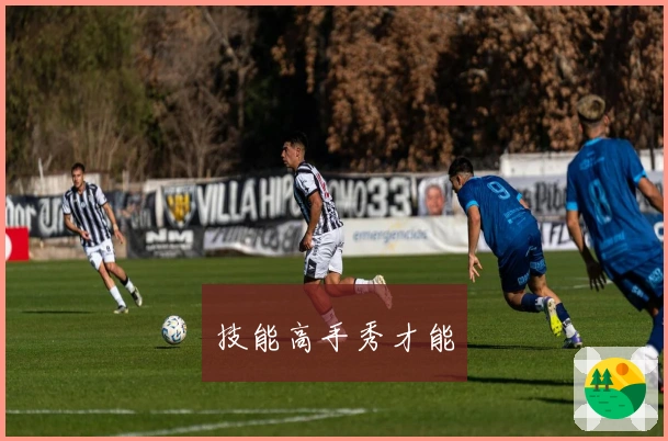 技能高手秀才能