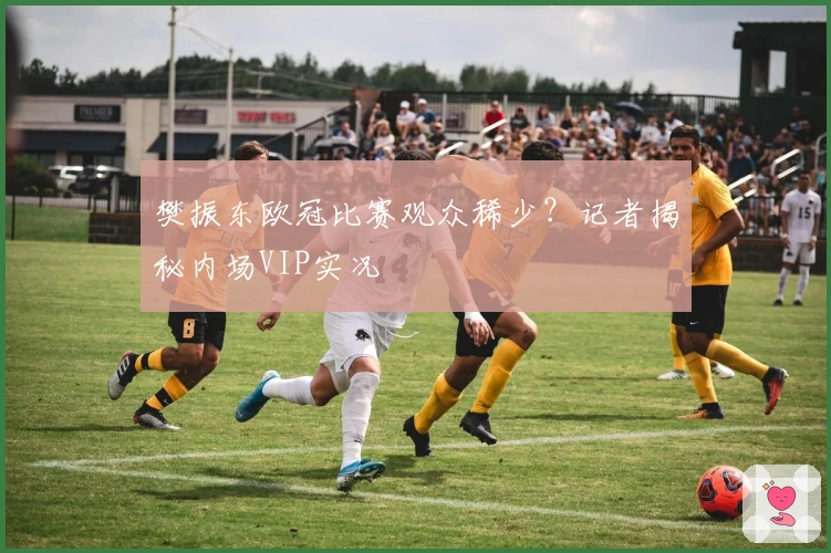 樊振东欧冠比赛观众稀少？记者揭秘内场VIP实况