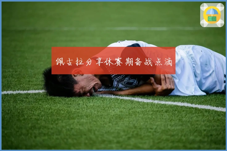 佩古拉分享休赛期备战点滴