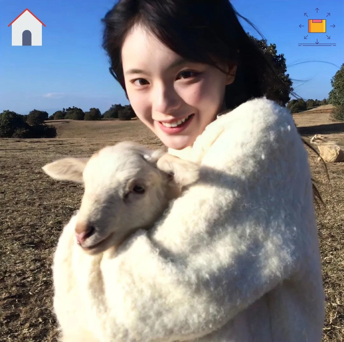 看球不睡觉的鹏